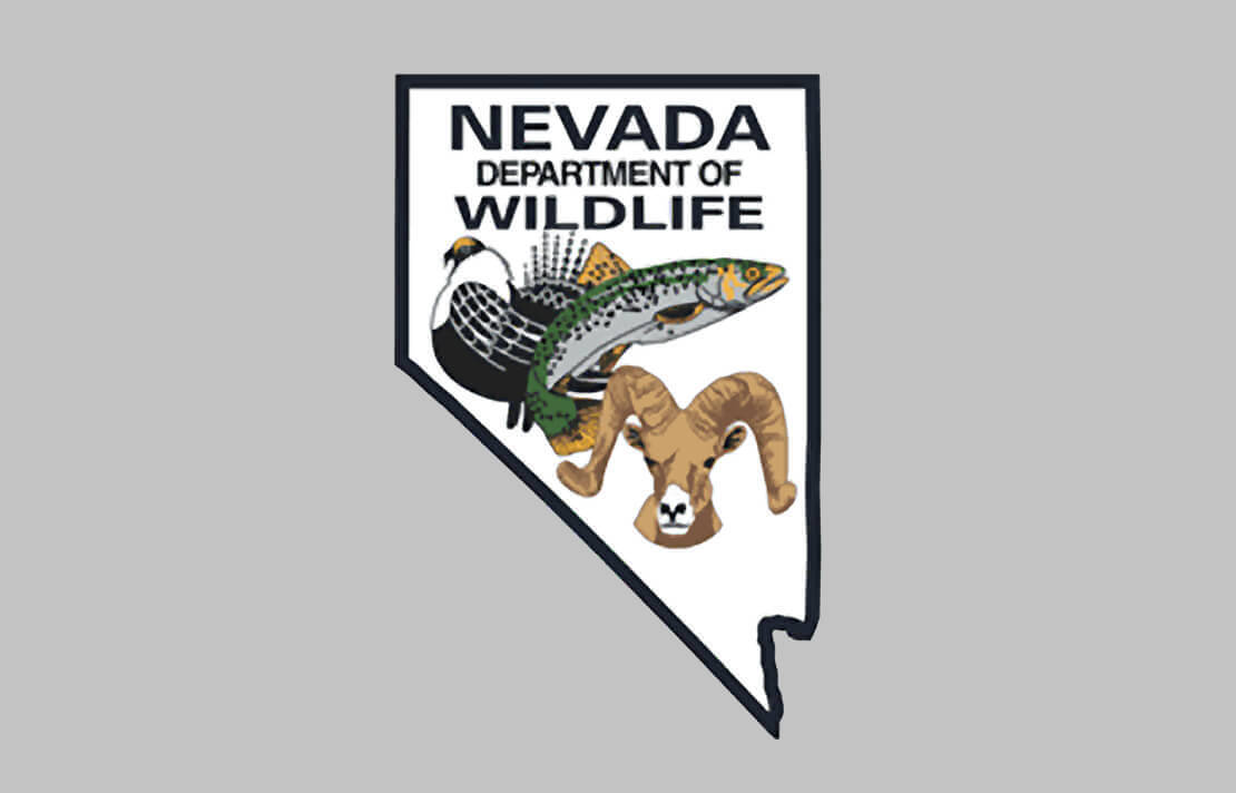 Wildlife presentation oct. 19th at the westin! - lake las vegas